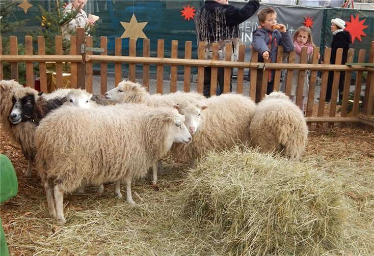 Beim Rundgang über den Weihnachtsmarkt konnte man überall die weihnachtliche Vorfreude und Stimmung spüren.