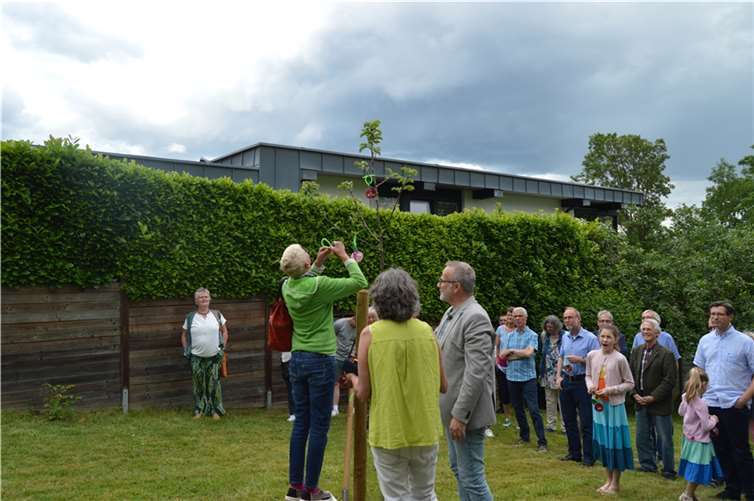Beim Schmücken des Jubiläumsbaums. Foto: privat