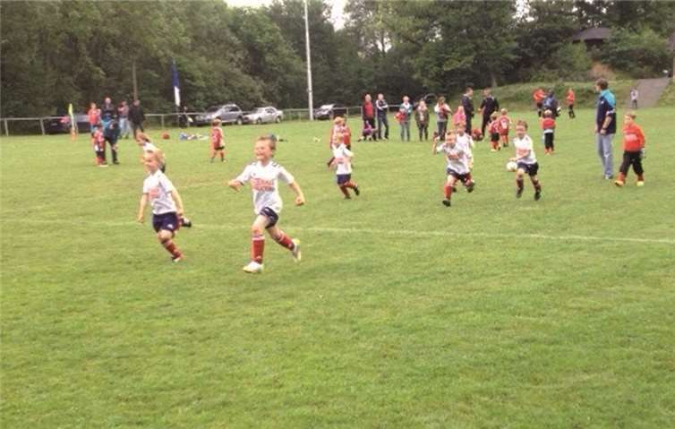 Beim Sportfestes in Wienau wurde auch ein Bambiniturnier ausgerichtet. Die JSG Marienhausen/Wienau setzte sich klar durch.privat