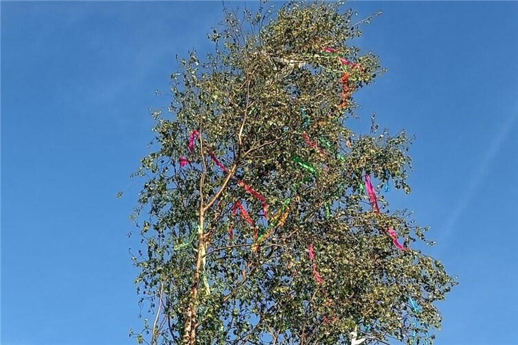 Beim Tanz in den Mai in Raubach darf der Maibaum nicht fehlen.