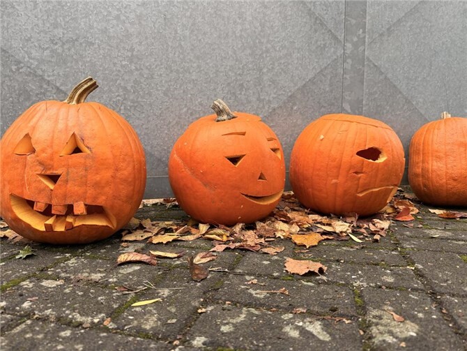Beim Textilhaus Ochtendung in Kruft wurde es kürzlich bunt und kreativ: Rund 30 Kürbisse verwandelten sich dort in fantasievolle Kunstwerke. Foto: privat