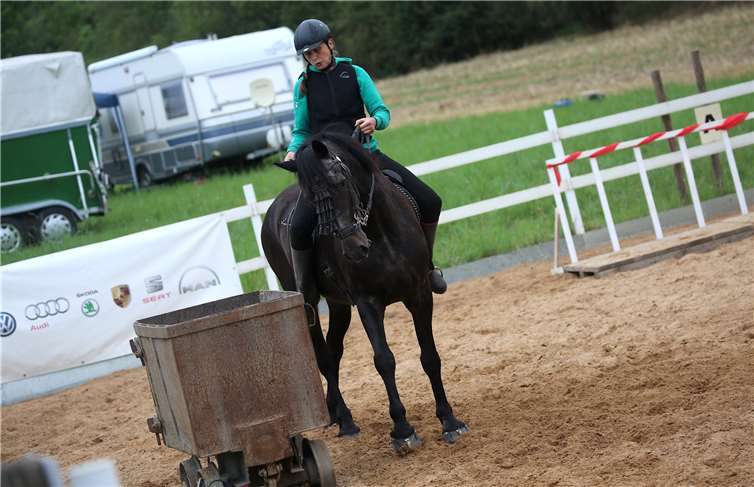 Country meets Kölsch: Reitsport vom Feinsten, Colör auf die Ohren! Beim Trailwettbewerb um den „Trimbser Wappen“ war Feingefühl in der Kommunikation zwischen Reiter und Pferd gefragt.