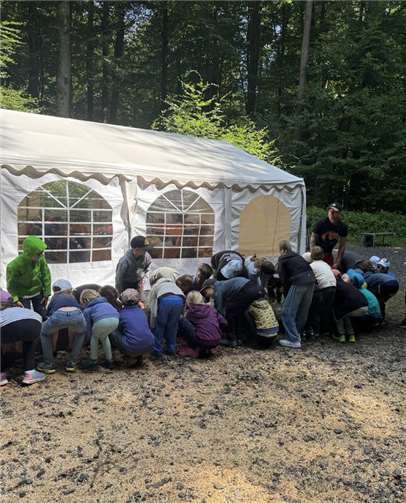 Beim Versuch, einen Baumstamm anzuheben, erfahren die Kinder, wie schwer massives Holz ist.  Foto: Victoria Mayer