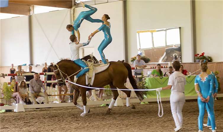Beim Voltigieren werden akrobatische Turnübungen auf dem Pferderücken ausgeführt. Foto: privat