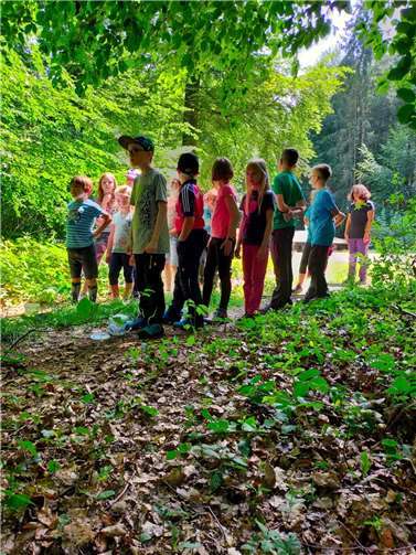 Beim Walderlebnistag im Buchfinkenland dürfen Kinder den heimischen Wald kennenlernen. Foto: Carla Tietz, WWV Buchfinkenland