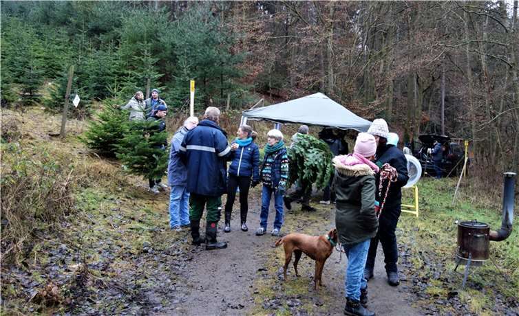 Beim Weihnachtsbaumverkauf fanden alle ihr passendes Exemplar. Foto: privat