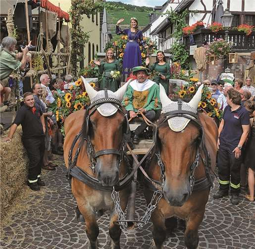 Beim mittelalterlichen Winzerfestumzug genoss die neue Weinkönigin auf ihrem Wagen das Bad in der Menge.