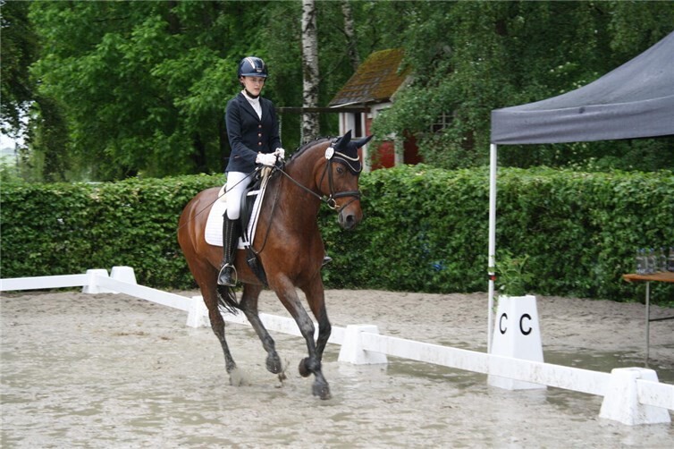 Beim traditionellen Dressurreitturnier auf der Reitanlage Maria Schacht in Leienkaul boten die Starter trotz widriger äußerer Bedingungen ansehnliche Leistungen.