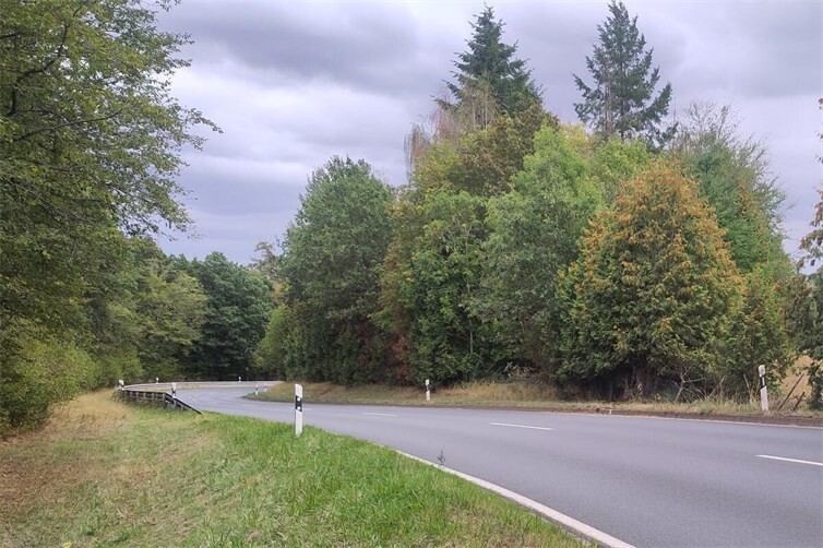 Bekannter Kurvenbereich zwischen Kürrenberg und Mayen: Im Rahmen einer sachlichen Bestandsaufnahme sollen mögliche Gefahrenstellen und Verkehrsbelastungen im Zusammenhang mit dem Nürburgring-Verkehr untersucht werden.