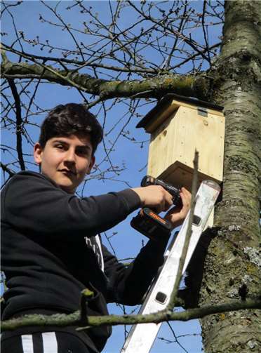 Bekir Apaydin, Klasse 8b.