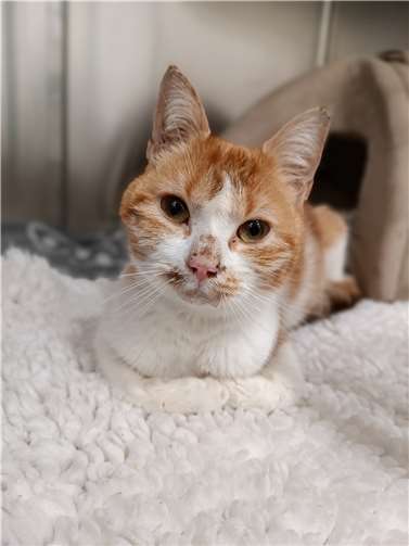 Belinda. Fotos: privat