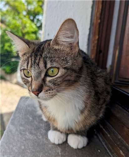 Bella.  Foto: privat