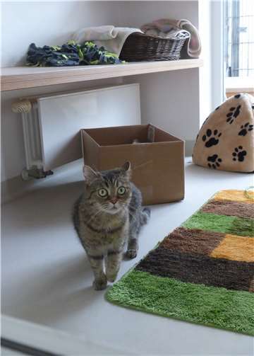 Bella ist aktuell noch etwas schüchtern. privat