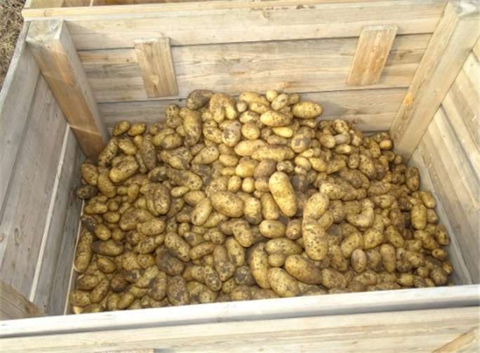 Bellana und Annabelle freuen sich auf viele Gäste.