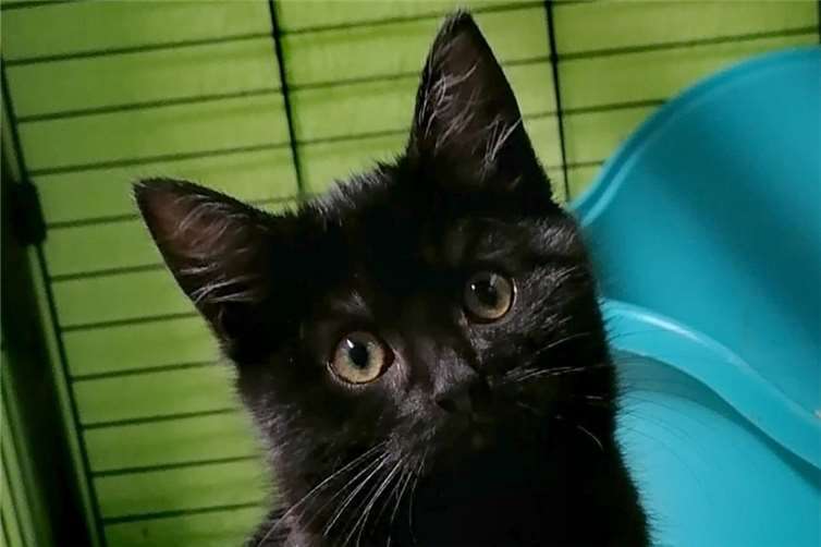 Belle. Fotos: privat