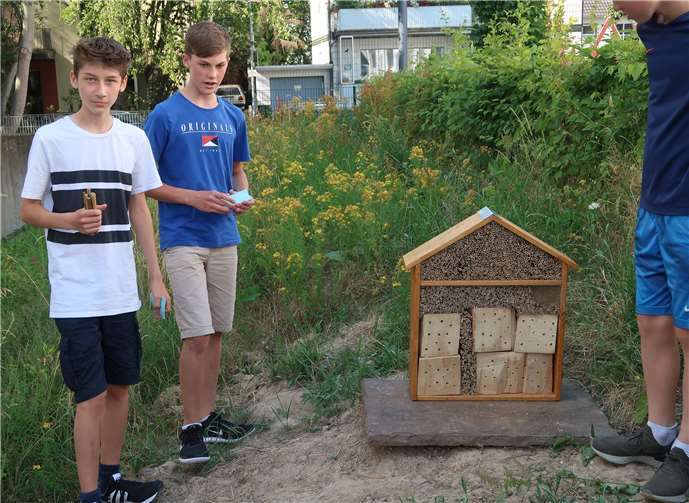 Ben Jansen und Keno Conrad führen bereits seit einem Jahr Forschungen zum Insektenschutz und besonders über die heimischen Bienen durch.