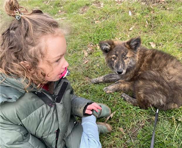 Ben und Assistenzhund Frieda. Der dreieinhalbjährige autistische Junge hat sich mit seinem künftigen Helfer schon angefreundet. Foto: privat