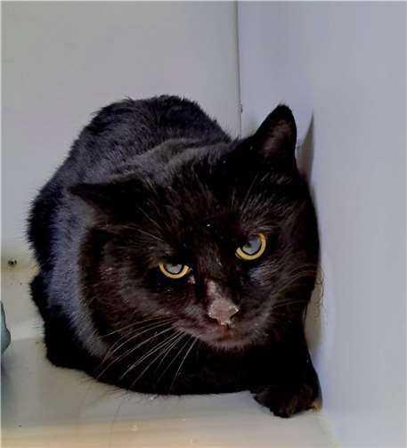 Benito.  Foto: privat