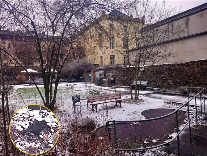 Beobachtet und gezählt wurde in der Weißer Gasse, dem Kaltenhof, dem Statz‘schen Gässchen, dem Münzplatz, dem Florinsmarkt, im Burggraben, dem Brunnenhof, im Garten Herlet, Görresplatz und im Blumenhof. Foto: privat