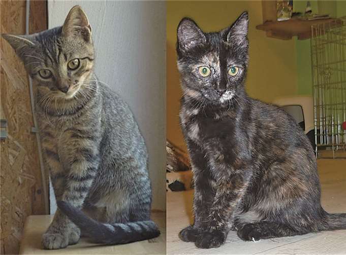 Beppo und Ronja.  Privat