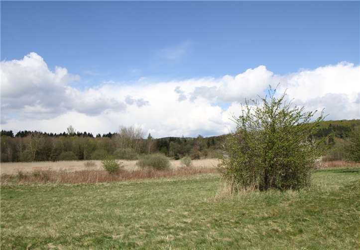 Bereits 1981 wurden die Eisenbachwiesen zum größten Naturschutzgebiet des Westerwaldkreises erklärt.privat