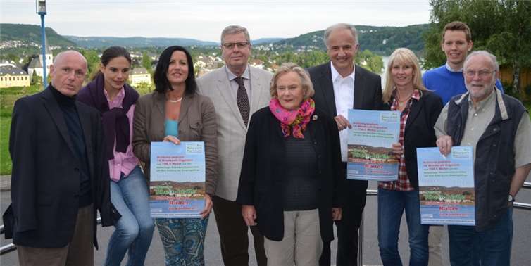 Bereits 2013 hatte die FDP dafür plädiert, das Rheintal nicht mit Windrädern zu verschandeln. FDP