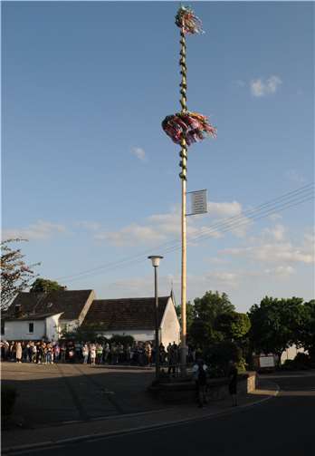 Bereits beim Baum stellen ist Schenkelberg in bester Stimmung.