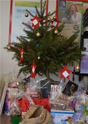 Bereits im letzten Jahr war die Wunschweihnachtsaktion ein voller Erfolg. Tierschutz Siebengebirge
