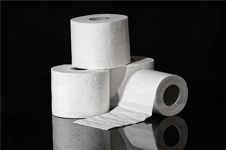 Bereits während der Corona-Pandemie kam es zu Massenkäufen von WC-Papier.  Foto: pixabay.com
