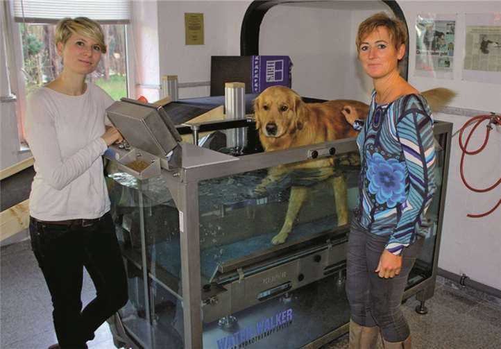 Bereitwillig demonstriert „Herr Frodo“ mit seinem Frauchen Ulrike Mönnich und Hanna Ludwig die Therapie dem Wasserlaufband. DL