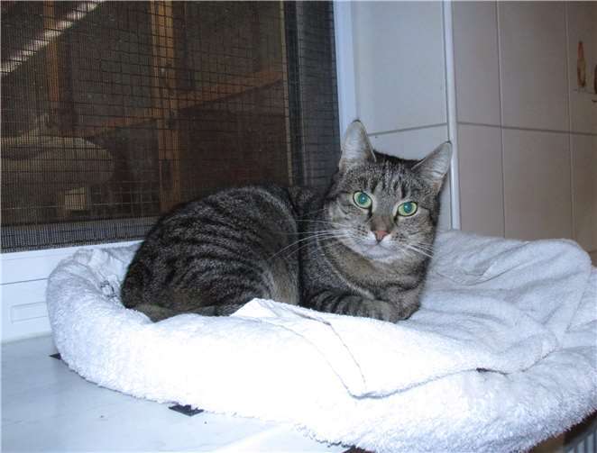 Berit ist 4 Jahre und noch immer recht schüchtern.