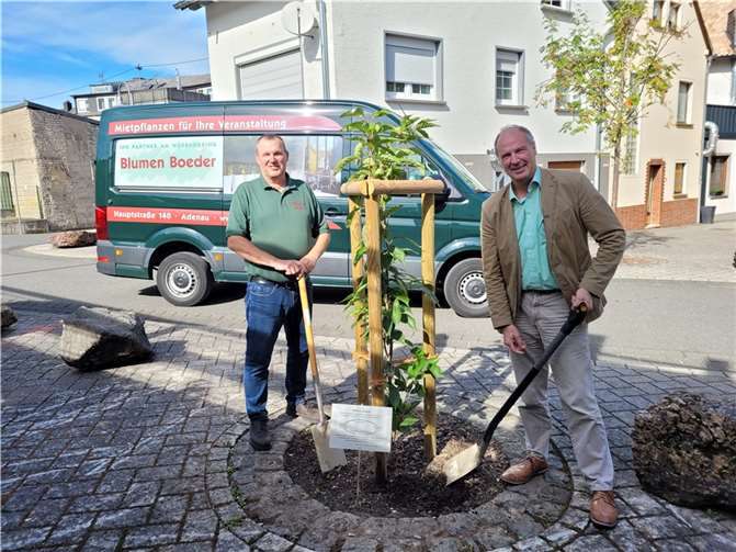 Bernd Boeder (links) und Arnold Hoffmann pflanzten gemeinsam einen Baum als Symbol der Freundschaft zwischen den europäischen Partnerstädten.  Copyright: Stadt Adenau