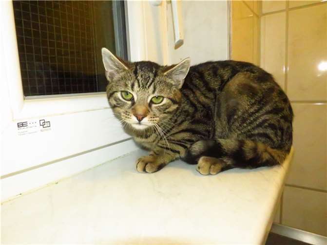 Berryll. Fotos: privat