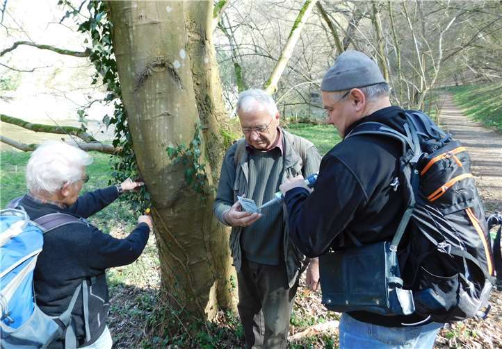 Berthold Carnott, Günther Wolber und Klaus Kaspari vom Eifelverein Altenahr bei den Beschilderungsarbeiten.