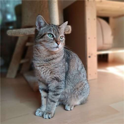 Beryll. Fotos: privat