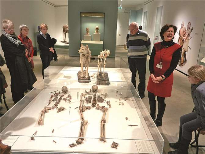 Besonderes Interesse fanden die Skelette der Eiszeitjäger und ihres Haushundes sowie die künstlerischen Grabbeigaben. privat