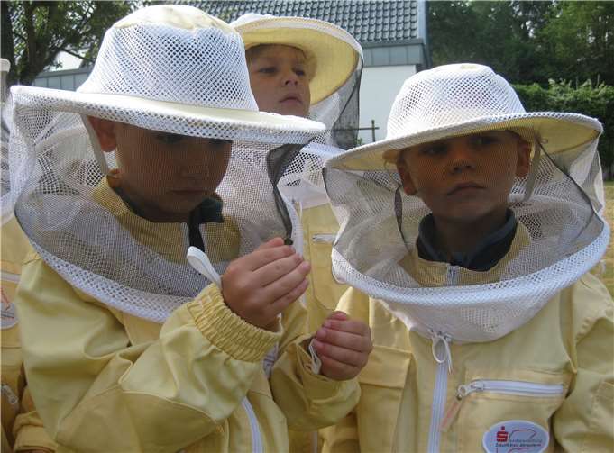 Besonders Mutige nahmen eine Biene auf die Hand.
