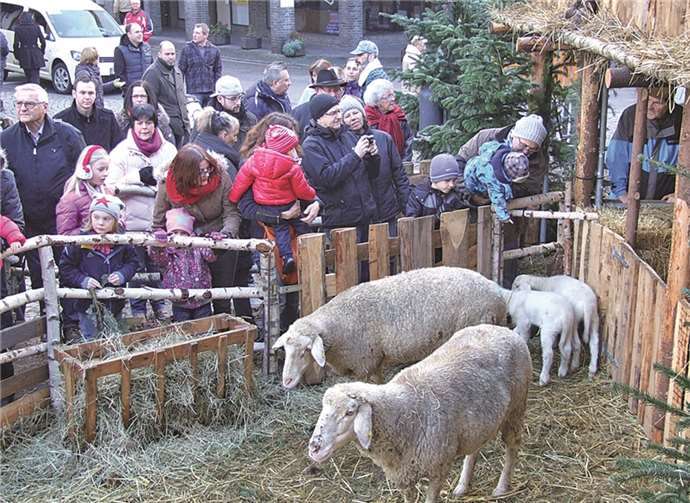Lebende Krippe weiterhin Publikumsmagnet