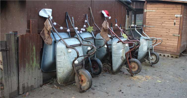 Besonders gefreut haben sich die Aktiven über die zahlreichen gespendeten Schubkarren. Foto: privat
