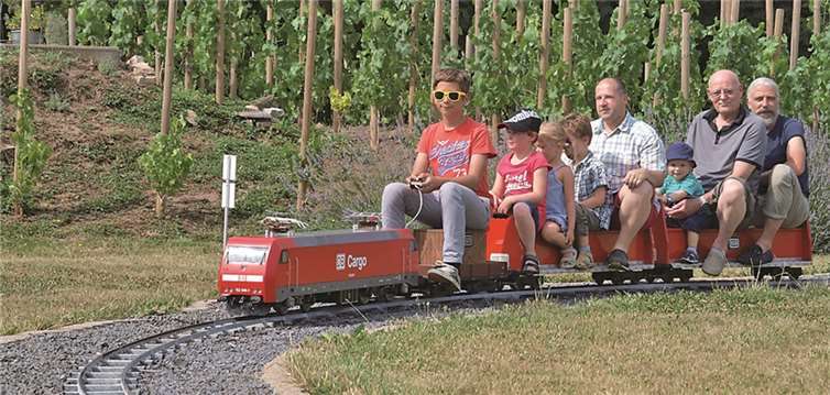 Besonders imposant und echt ist der wunderbar angelegte Weinberg, den die Gäste mit dem Zug umkreisen und so bewundern können. US