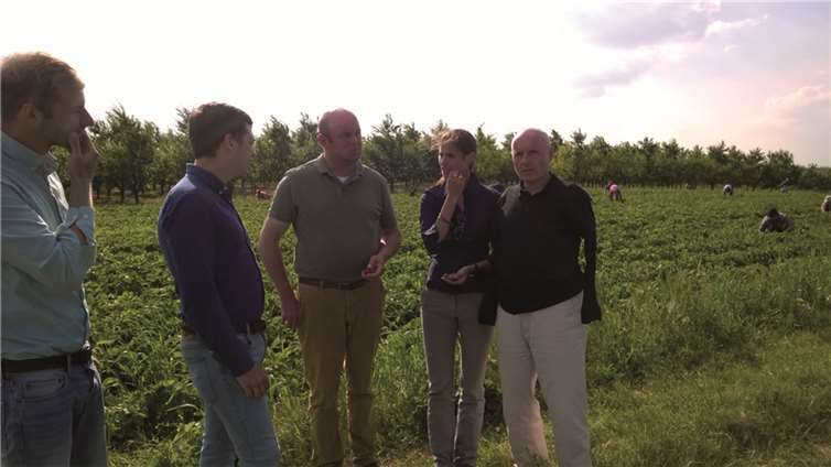 Besorgt zeigten sich die Liberalen (v. r.) Ulrich van Bebber, Christina Steinheuer, Stephan Kirchharz und Patrick Mai bei dem Obstbauern André Steinheuer (Mitte), der über die Probleme mit dem Mindestlohn für Erntehelfer informierte. privat