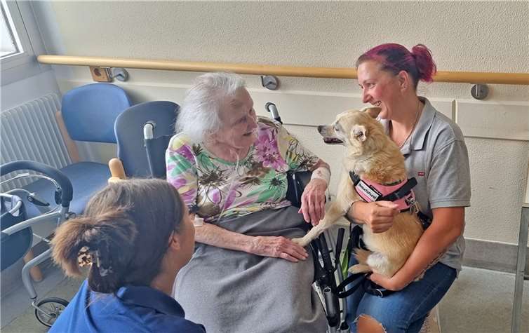 Besuchshund Luna ist ab sofort jeden Mittwoch im Ev. Stift zu Gast. Gemeinsam mit Susanne Fenchel baut sie eine besondere Beziehung zu den Patienten in der Akutgeriatrie auf. Foto: GK-Mittelrhein/ Horst-Peter Wagner