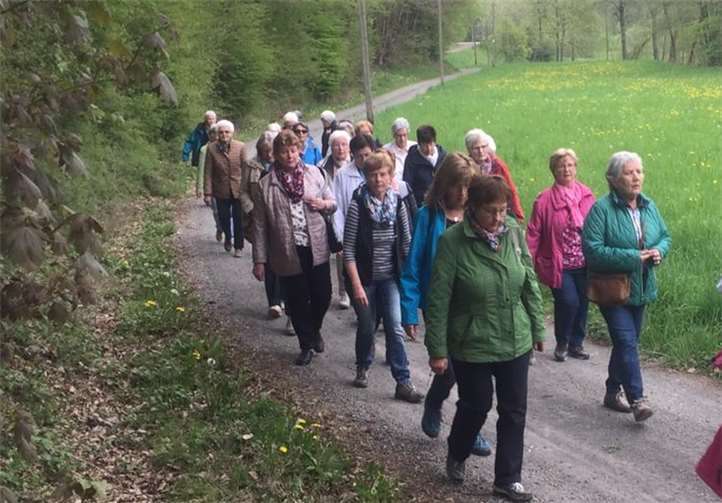 Betend machten sich knapp 40 Pilgerinnen auf den Weg.Foto: privat