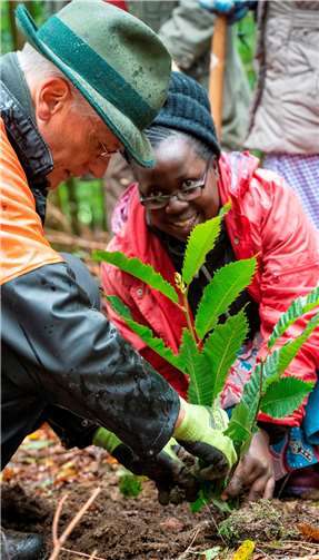 Betriebsbesuche wie in der Firma Schaefer-Kalk in Hahnstätten gehörten ebenso zum Programm wie ein Waldtag, um mit Waldpädagoge Willi Bausch-Weis im Lahnsteiner Forst Kastanien anzupflanzen.Fotos: privat