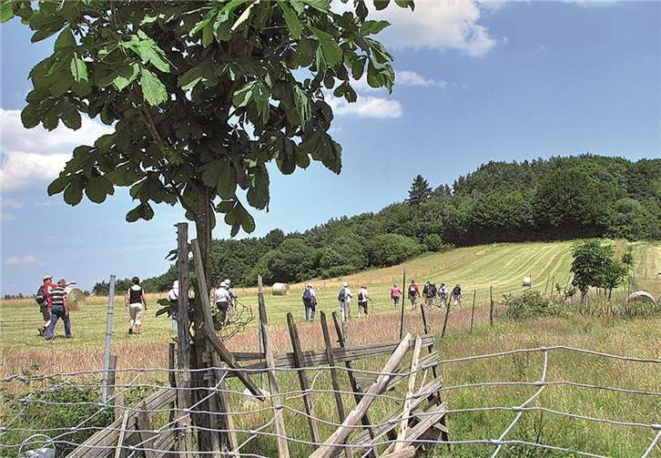 Bewegung an der frischen Luft, viel zu entdecken und ein kulinarisches Schlemmerprogramm. Die Genuss-Wanderung hat einiges zu bieten. Privat