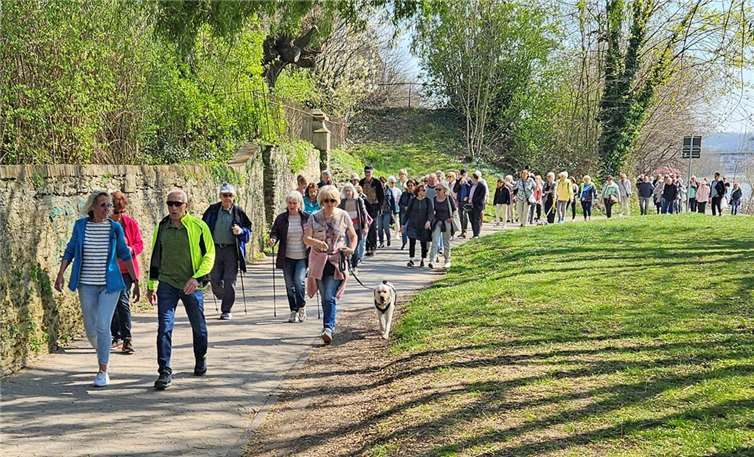 Bewegung und Begegnung: Mehr als 100 Teilnehmer trafen sich zur ersten Spazierwanderung am Neuwieder Deich. Die Aktion des Lions Club Neuwied-Andernach findet künftig jeden Mittwochnachmittag statt.Fotos: Lions Club/Brathuhn