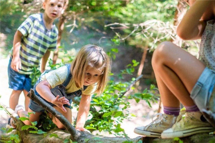 Bewegung und Spaß beim Waldausflug