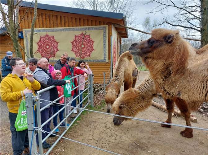 Bewohnerinnen und Bewohner konnten eine Vielzahl an Tieren bewundern.  Fotos: Kloster Ebernach