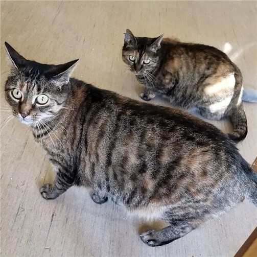 Biene und MajaFoto: privat