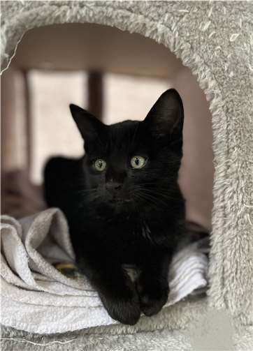 BigMac. Foto: privat